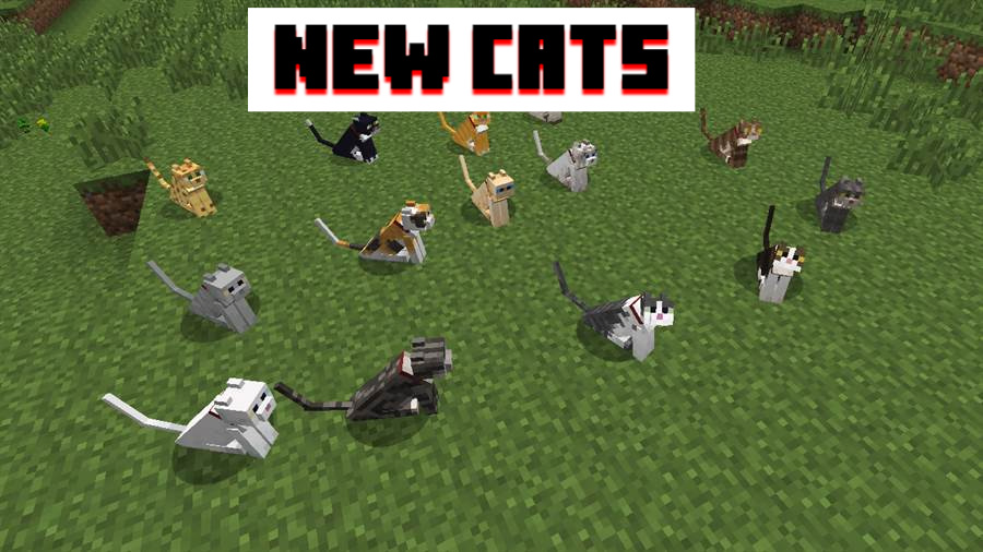 New cats MCPE 1.8.0