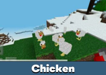 chicken-minecraft-pe